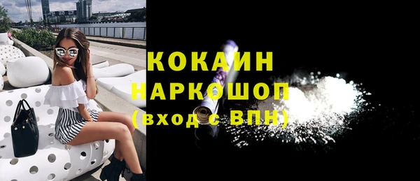 прущие грибы Аркадак