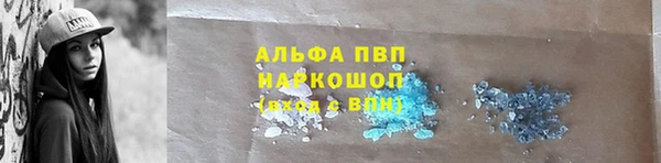 прущие грибы Аркадак