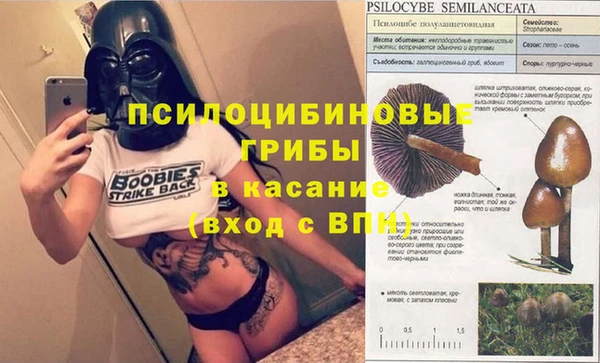 ECSTASY Алексин