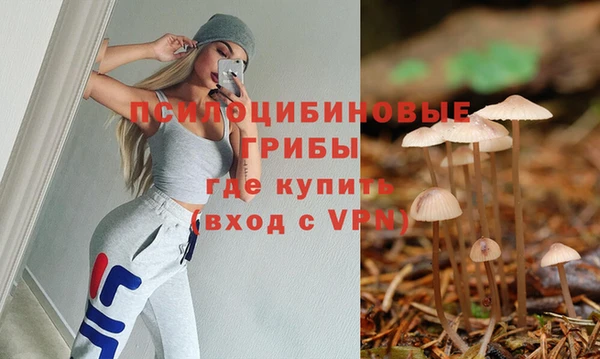 мдпв Армянск