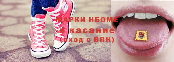 прущие грибы Аркадак